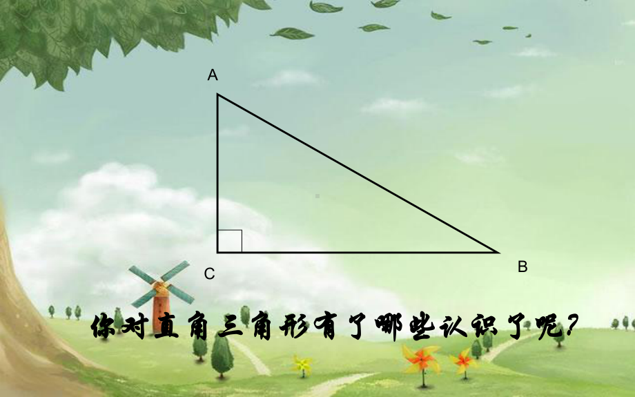 人教初中数学八下《勾股定理》课件-(高效课堂)获奖-人教数学2022-2.ppt_第2页