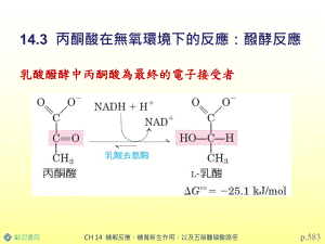 氧化阶段产生五碳醣磷酸和NADPH课件.ppt