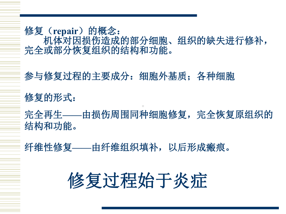 促成纤维细胞课件.ppt_第3页