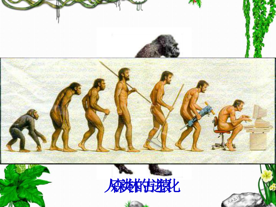 生命是生命有关生命起源的种种假说三课件.ppt_第1页