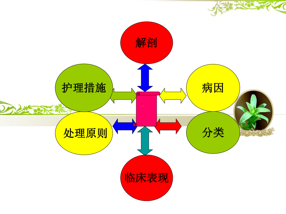 急性阑尾炎患者的护理课件2.ppt_第2页