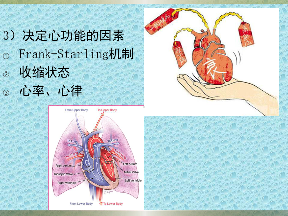 第一节第一节心力衰竭及监护技术课件.ppt_第3页