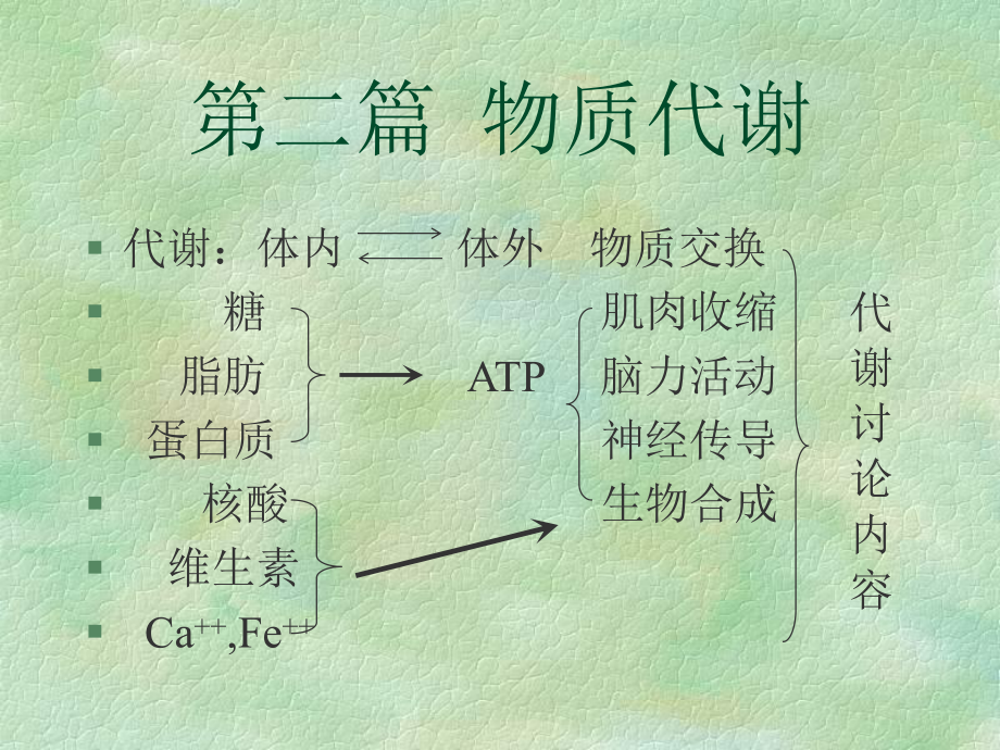 糖代谢复旦大学上海医学院生物化学课程(118)课件.ppt_第2页