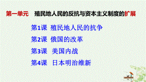 人教部编版九级下册殖民地人民的反抗与资本主义制度的扩展复习课件分析.pptx