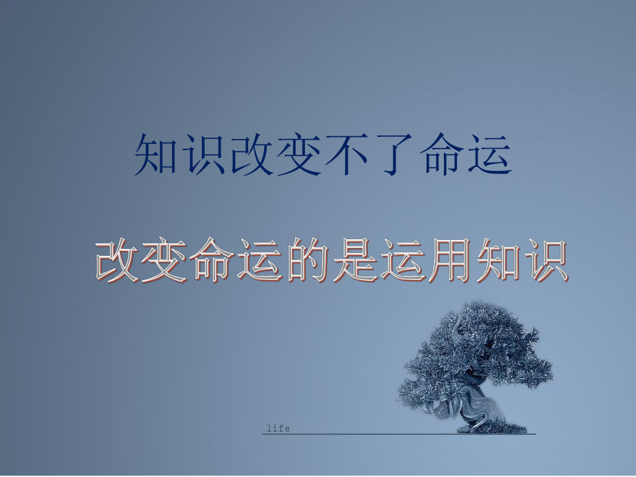 主题班会《“知识和技能成就未来”》课件.ppt_第2页