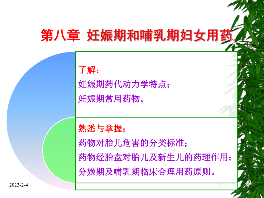 妊娠期合理用药课件讲义.ppt_第1页