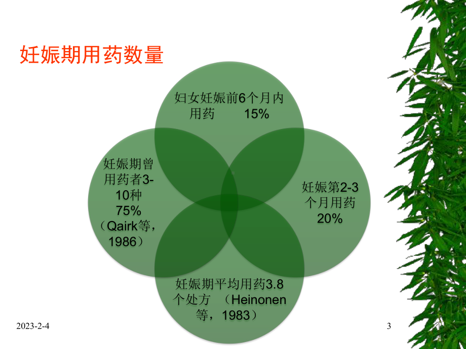 妊娠期合理用药课件讲义.ppt_第3页