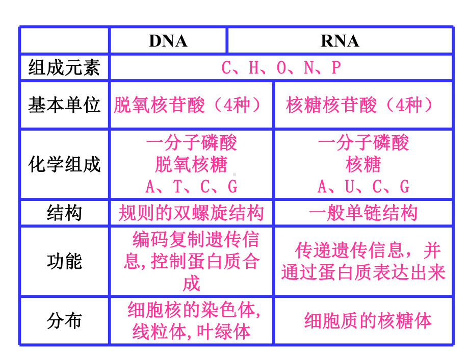 基因指导蛋白质合成 高二生物课件教案 人教版.ppt_第3页