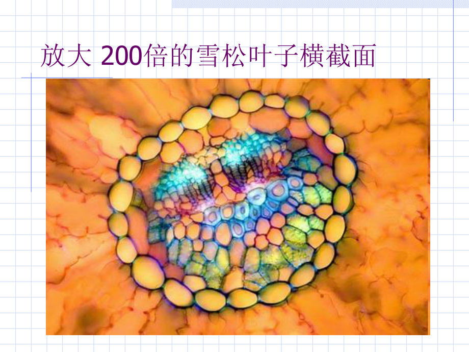 九年级化学分子和原子优秀课件.ppt_第2页