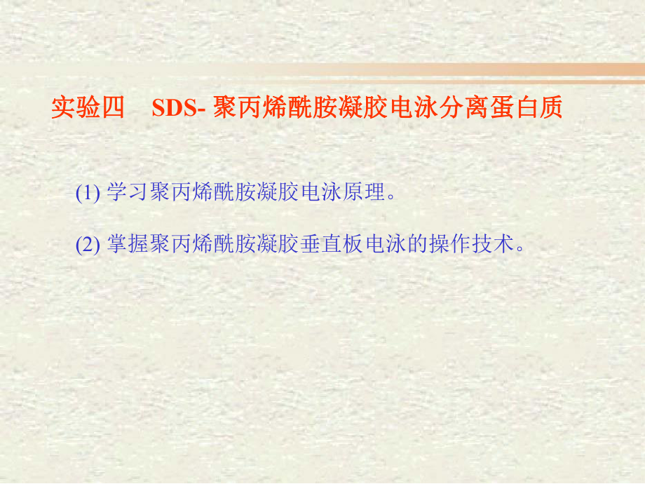 试验四SDS聚丙烯酰胺凝胶电泳分离蛋白质课件.ppt_第1页