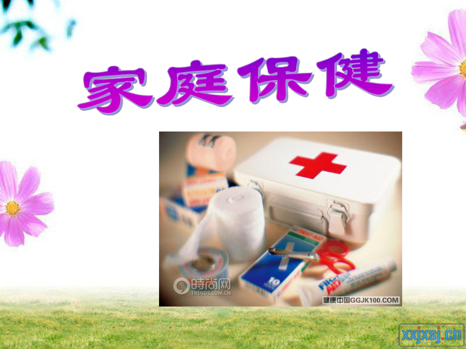 家庭保健（家庭生活科学系列讲座）课件.ppt_第1页