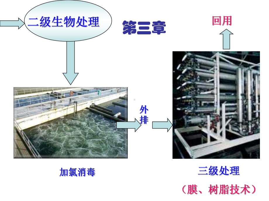 环境工程微生物学09水环境污染控制与治理的生态工程及微生物学原理课件.ppt_第2页