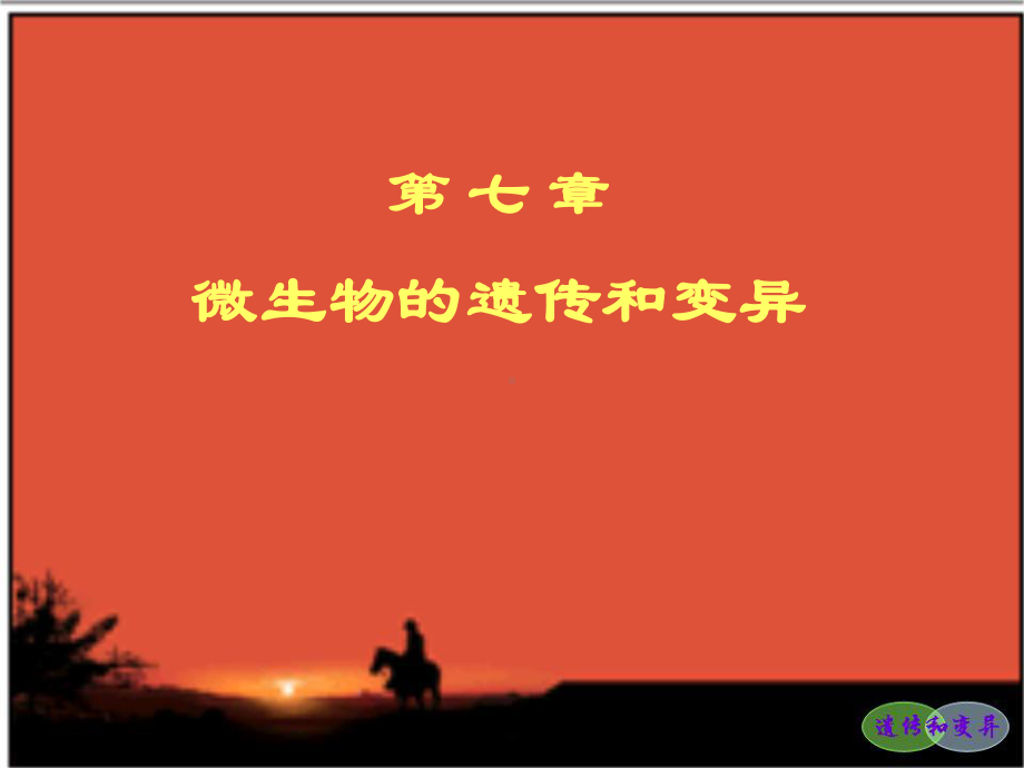 第八章微生物遗传(教学用)课件.ppt_第1页