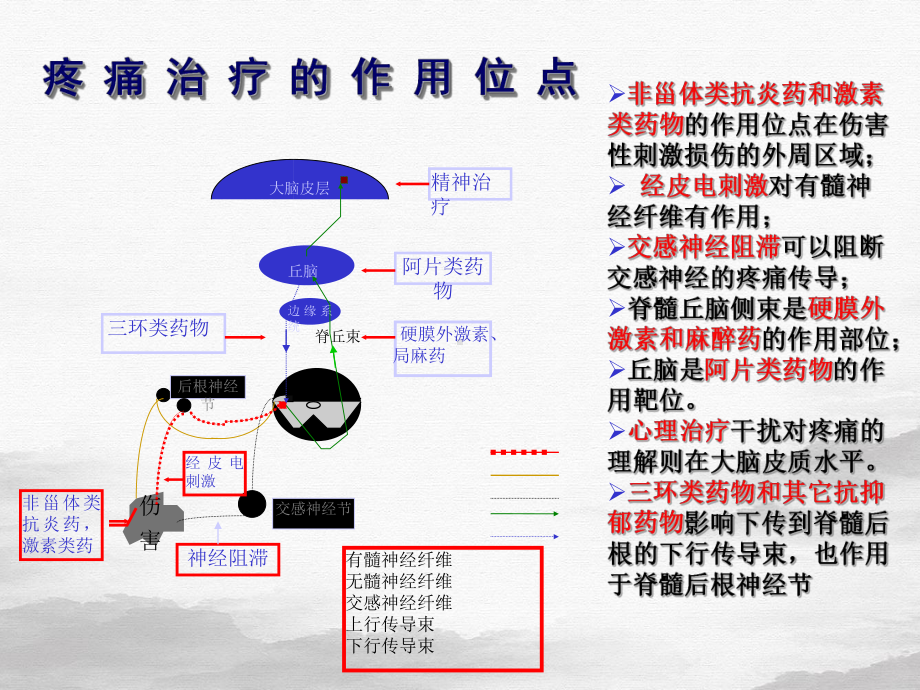 疼痛药物治疗非甾体抗炎药NSAIDs研究进展及其再评价课件.pptx_第3页