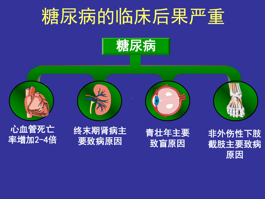 口服降糖药的选择与联合应用课件.ppt_第3页