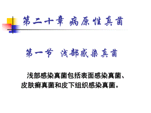 第二十讲病原性真菌课件.ppt