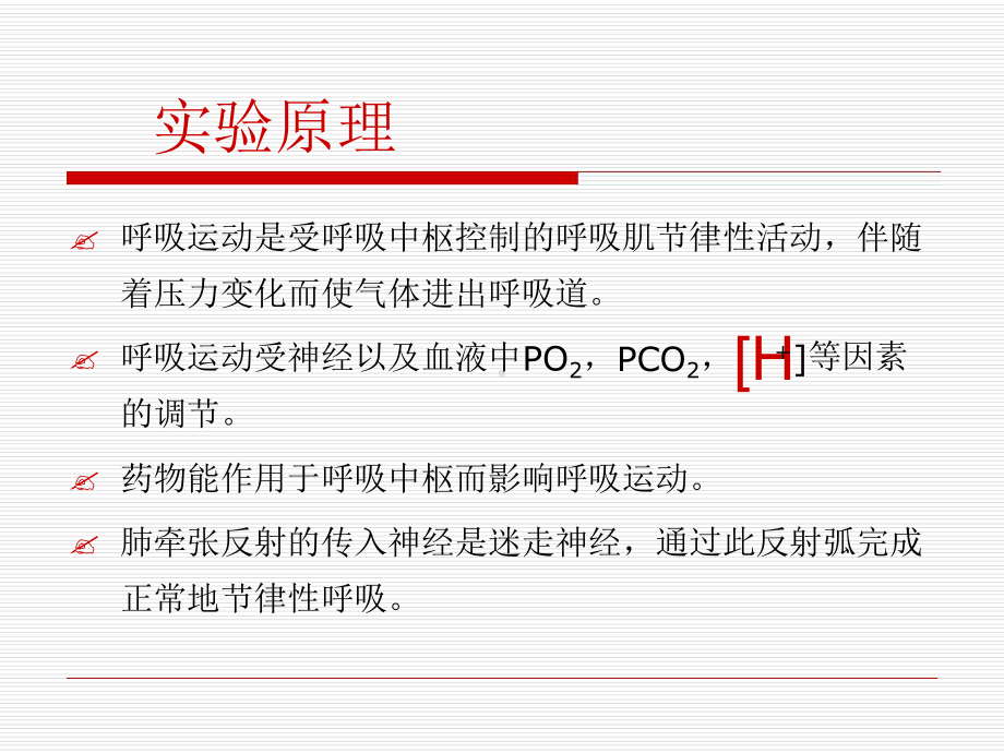 实验六呼吸运动的调节课件.ppt_第3页