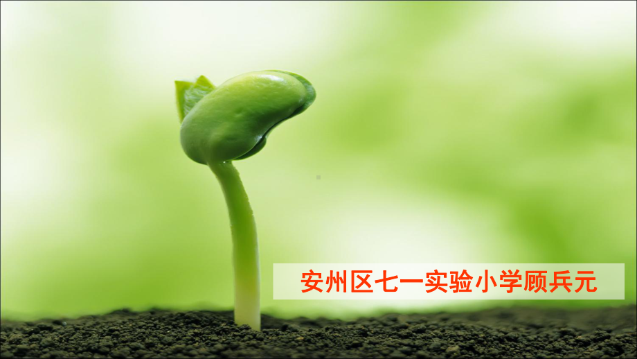 五年级下册语文优秀课件语文百花园二《群文阅读：多面的狐狸》｜语文s版.ppt_第1页