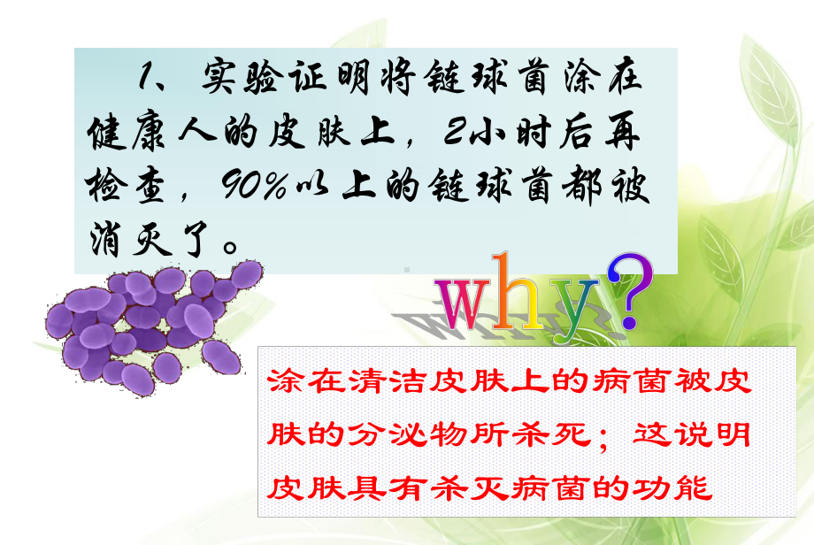 免疫和计划免疫课件讲义.ppt_第3页