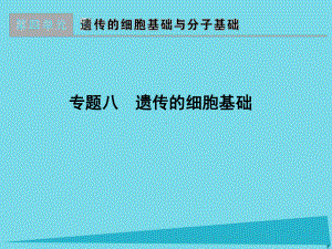 版高考生物一轮复习专题遗传的细胞基础课件.ppt