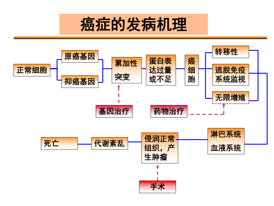 常见的抗癌药物课件.ppt_第3页