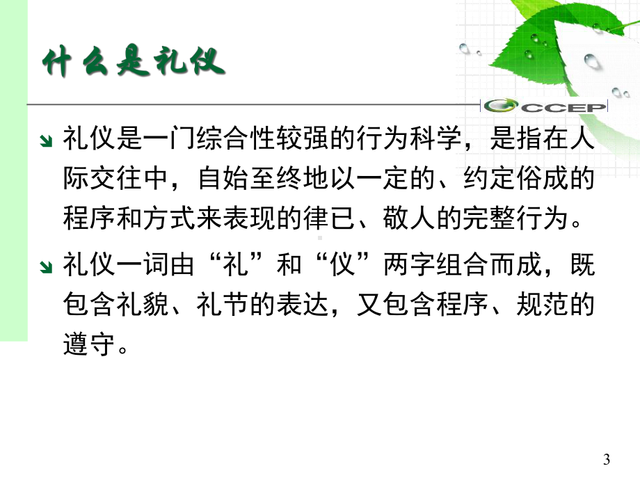 大学生职业礼仪课件.pptx_第3页