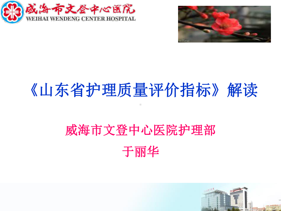 护理质量评价指标威海讲课课件.ppt_第1页