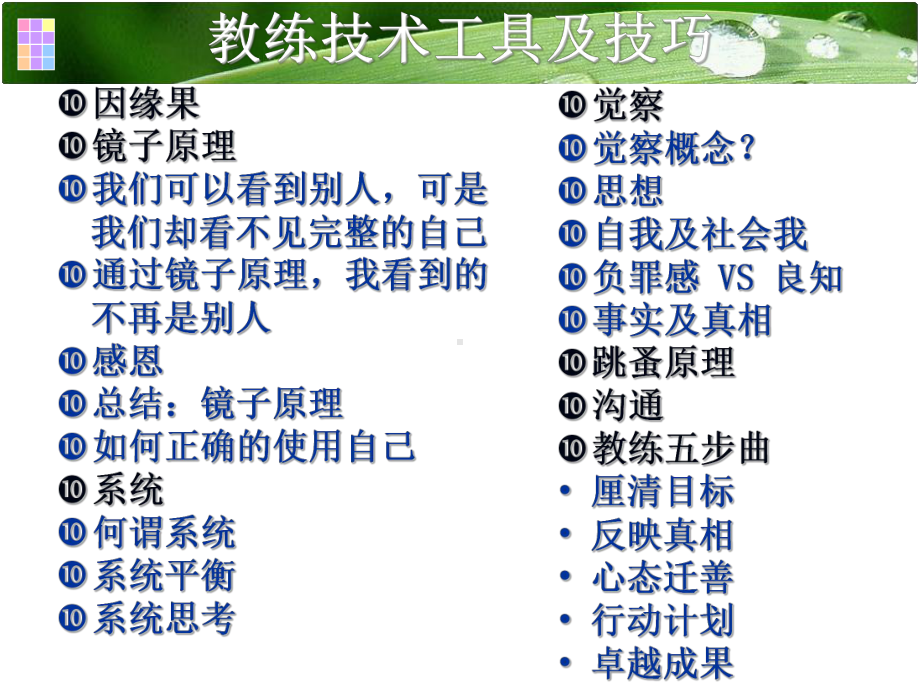 企业教练管理技术经典实用课件教练核心课程.ppt_第2页