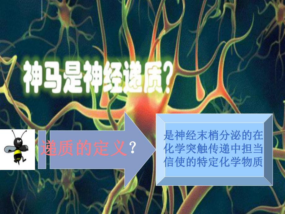 神经递质与相关疾病(恢复)课件.ppt_第3页