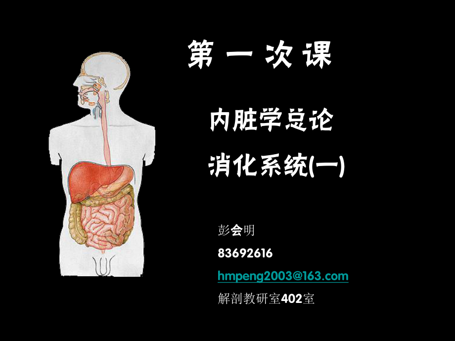 第1次课内脏、消化管一课件.ppt_第1页