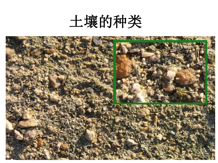 小学三年级科学上册32土壤的种类名师公开课省级获奖课件1湘教版.ppt_第2页