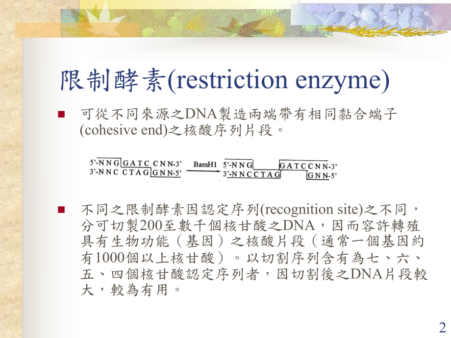 基因工程的发展历史分子生物学基础建立期课件.ppt_第2页