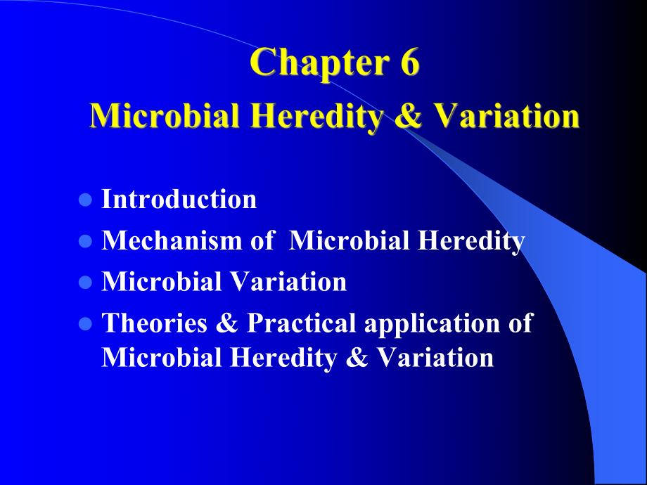 第六章微生物的遗传与变异课件讲义.ppt_第2页