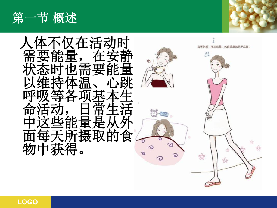 第三章人体能量需要课件.ppt_第3页