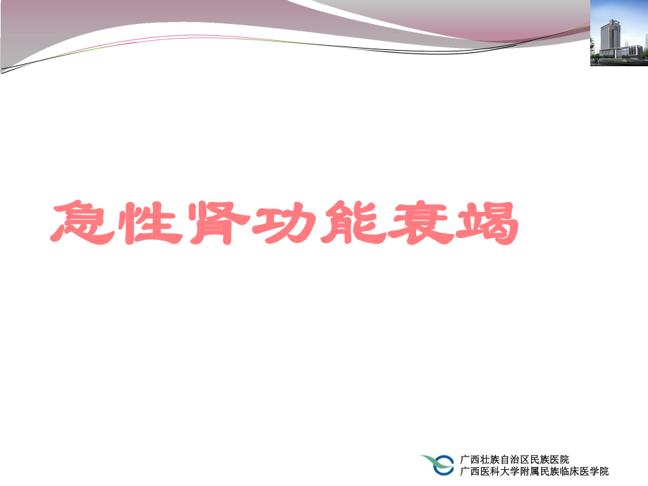 急性肾功能不全讲课课件.ppt_第1页