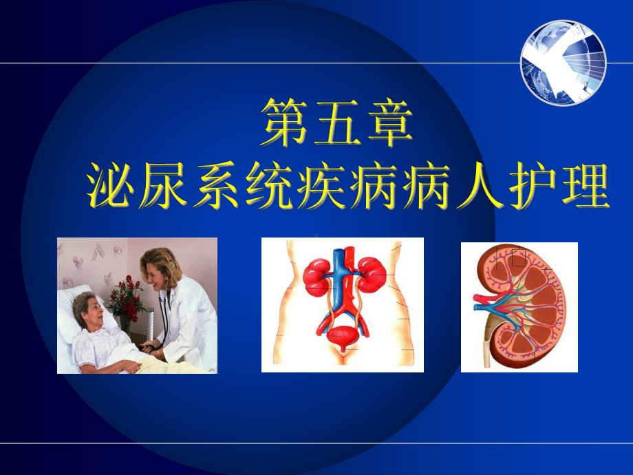 护士执业资格考试内科护理学第五章泌尿系统疾病病人护理课件1.ppt_第1页