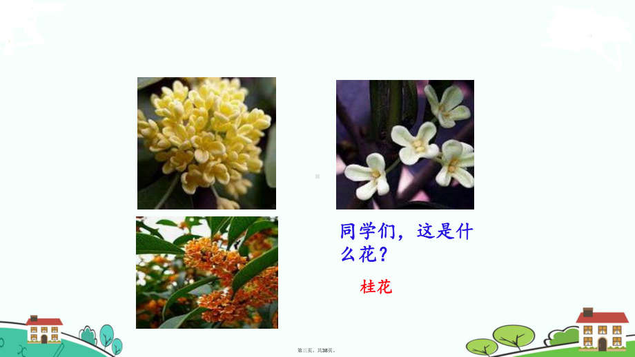 五年级语文上册课件《桂花雨》部编版.pptx_第3页