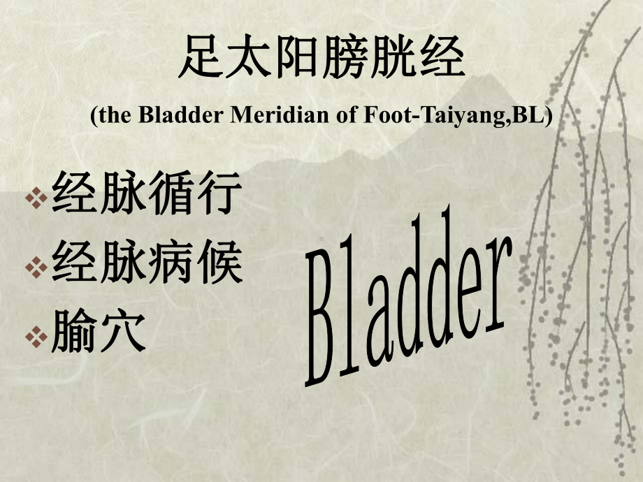 足太阳膀胱经(the Bladder Meridian of FootTaiyang,BL)课件.ppt_第1页