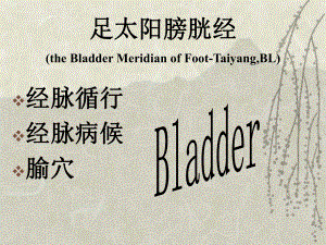 足太阳膀胱经(the Bladder Meridian of FootTaiyang,BL)课件.ppt