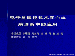 电子显微镜技术在白血病诊断中的应用课件.ppt