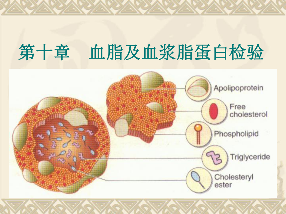 生物化学与检验10课件.ppt_第1页