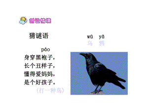 乌鸦喝水(人教版)课件.ppt