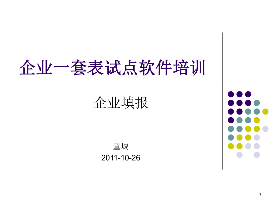 企业一套表试点软件培训课件.ppt_第1页