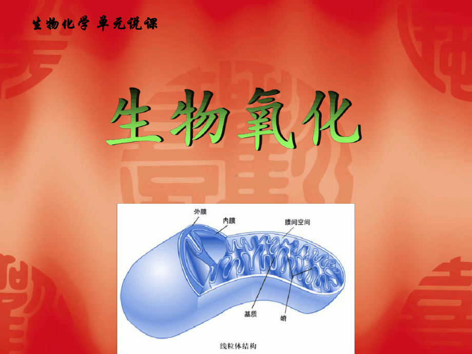 生物氧化单元说课课件.ppt_第1页