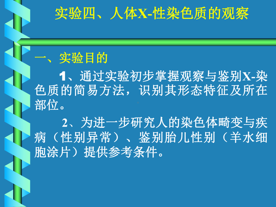 人体X性染色质的观察一课件.ppt_第1页