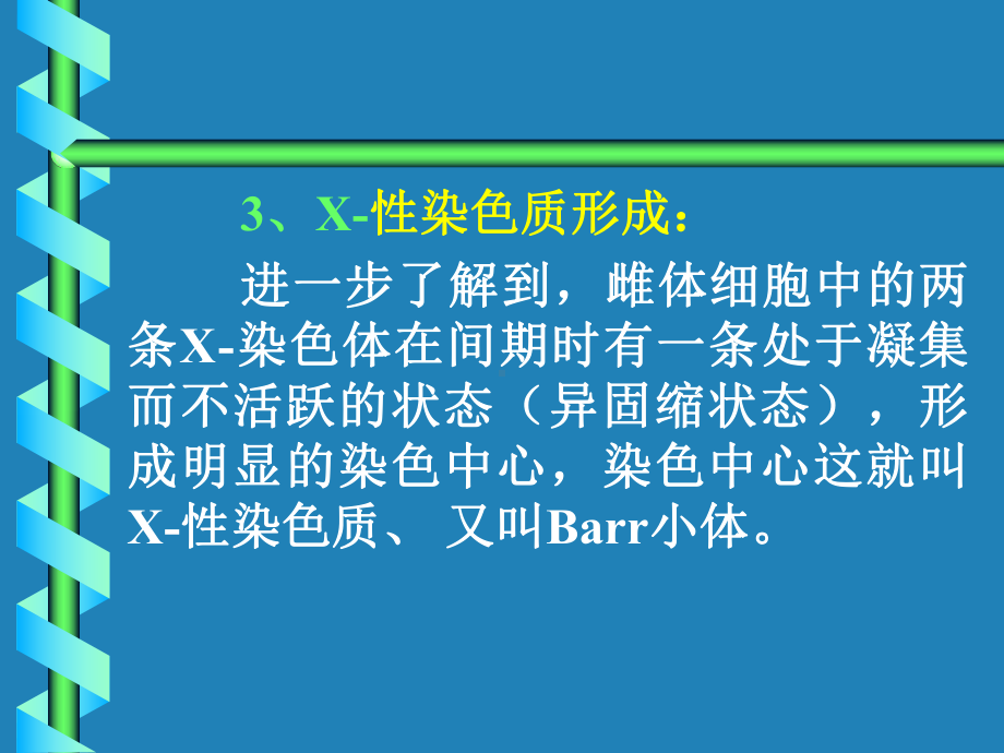 人体X性染色质的观察一课件.ppt_第3页