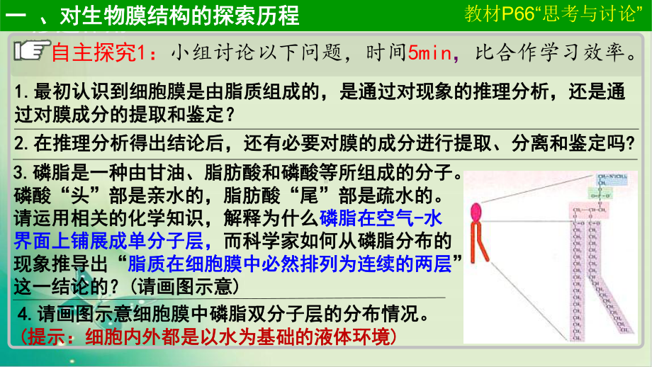 人教版《生物膜的流动镶嵌模型-》课件17.ppt_第3页