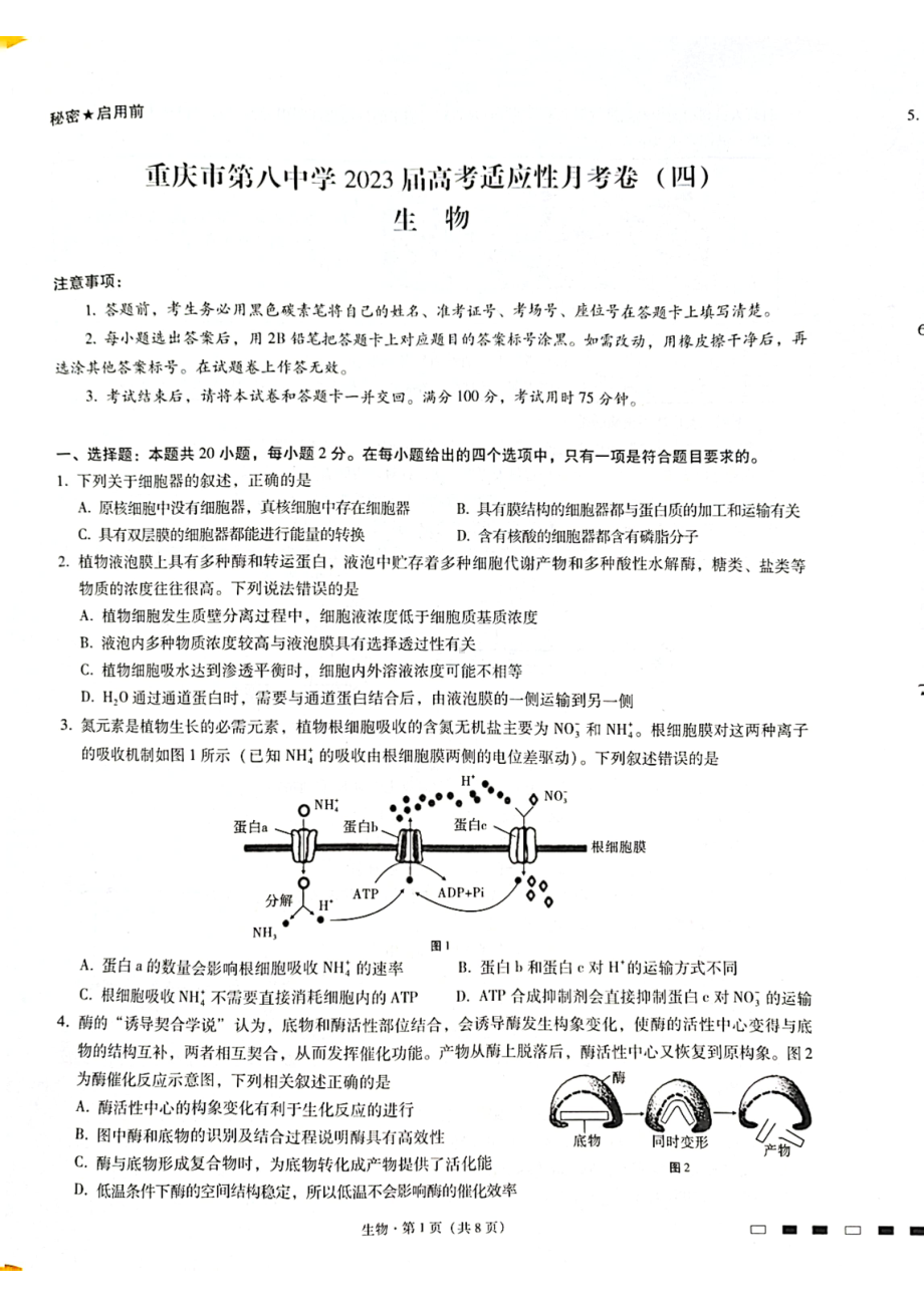 重庆市8中2023届高考适应性月考卷（四）生物试卷+答案.pdf_第1页