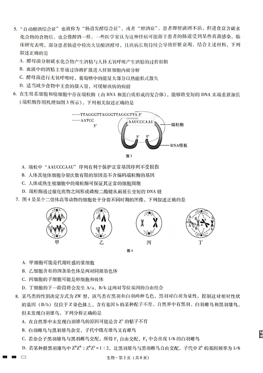 重庆市8中2023届高考适应性月考卷（四）生物试卷+答案.pdf_第2页