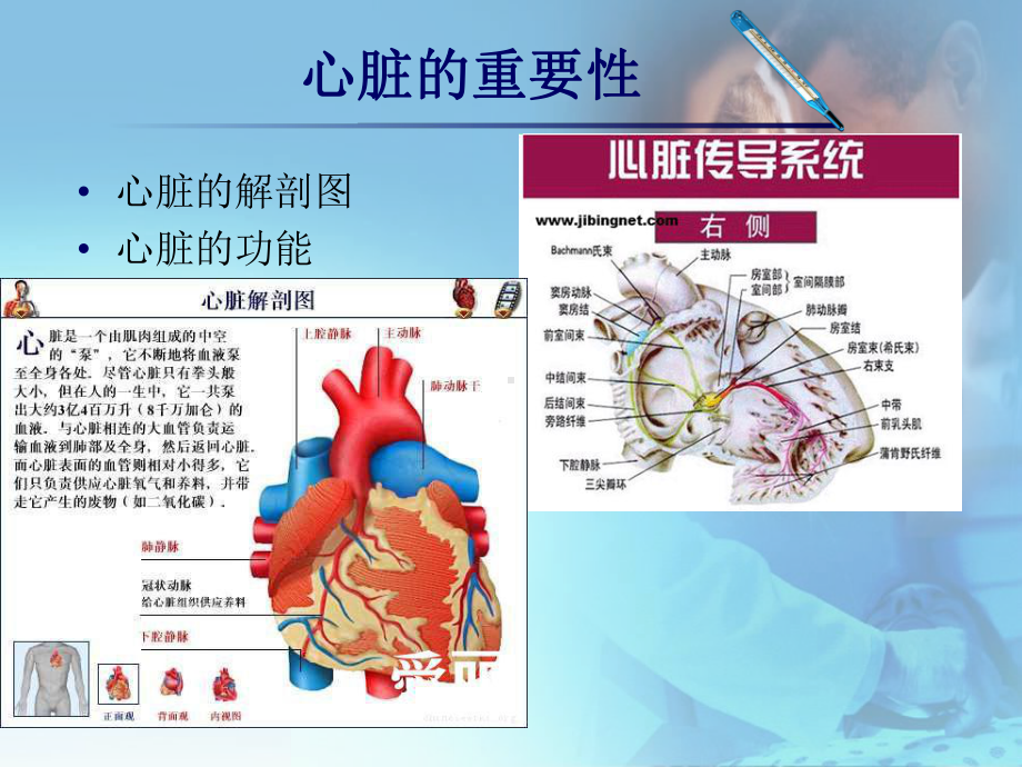 心肺复苏术红十字会课件.ppt_第3页